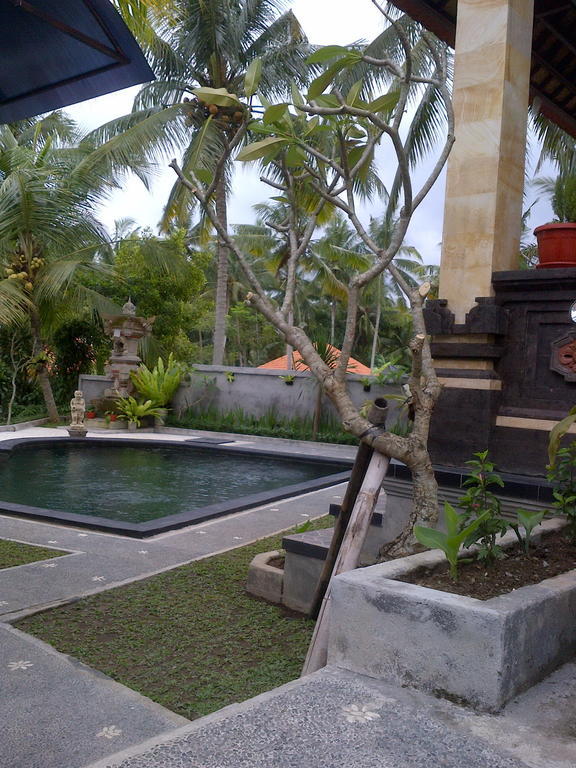 Guest house Dewa House Bisma 2*