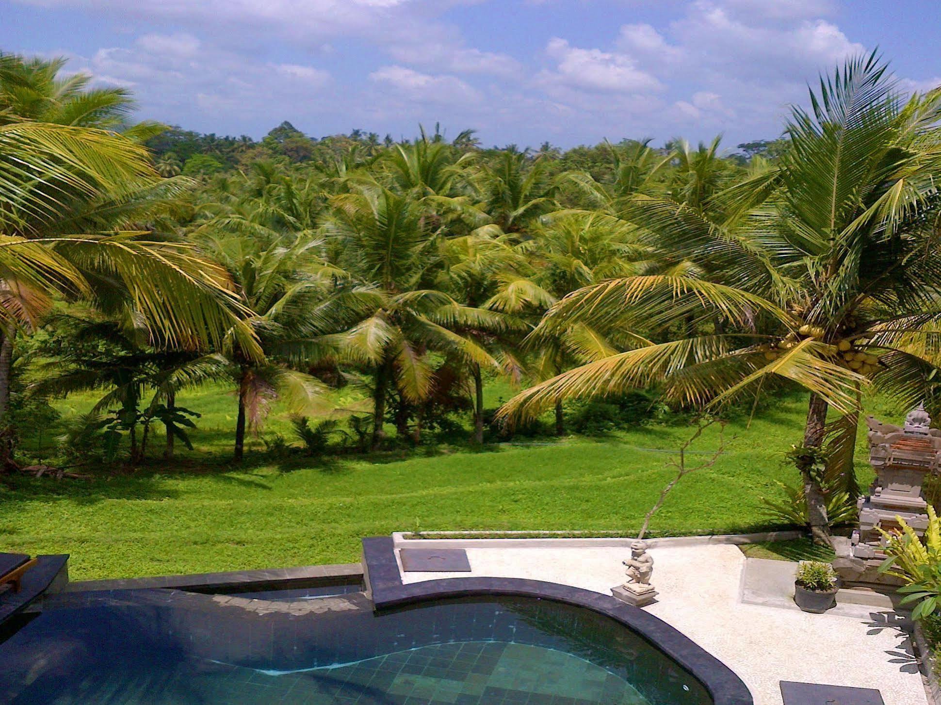 Guest house Dewa House Bisma Ubud (Bali)